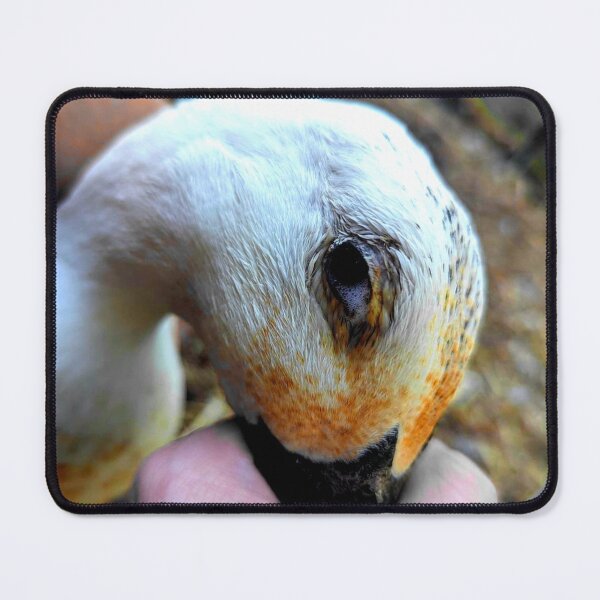Item preview, Duckling  designed and sold by ontological.