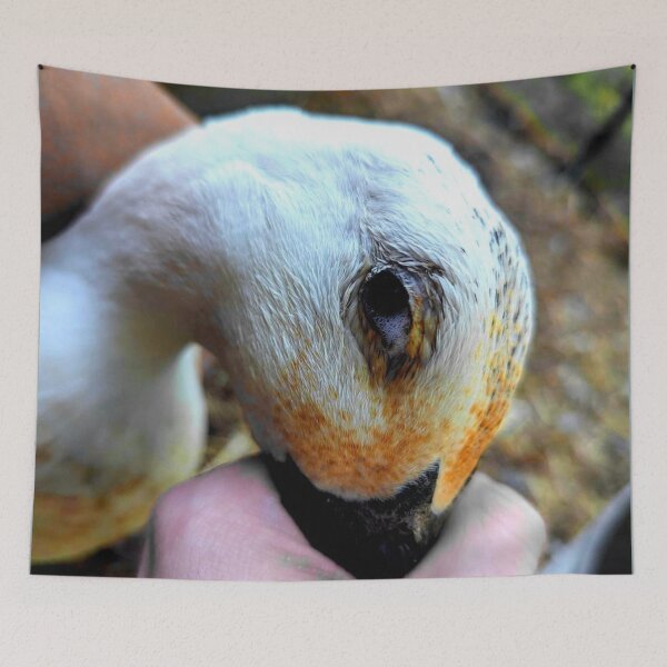 Item preview, Duckling  designed and sold by ontological.
