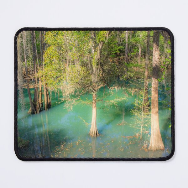 Item preview, Radium Spring designed and sold by Alla Gill.