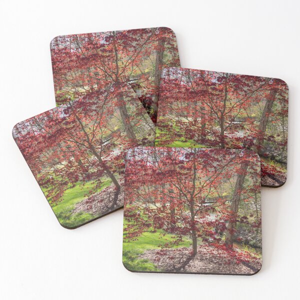 Item preview, Japanese Maple designed and sold by Alla Gill.