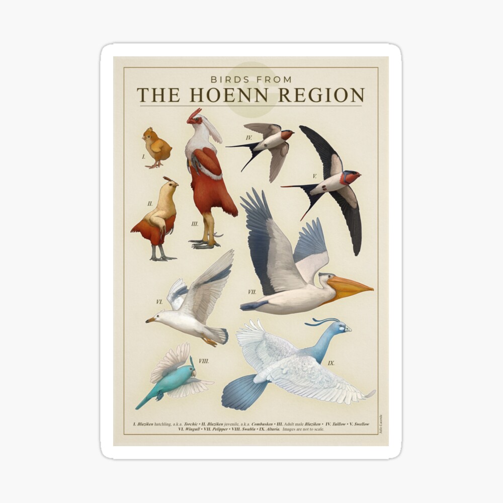 Birds of Hóenn Poster
