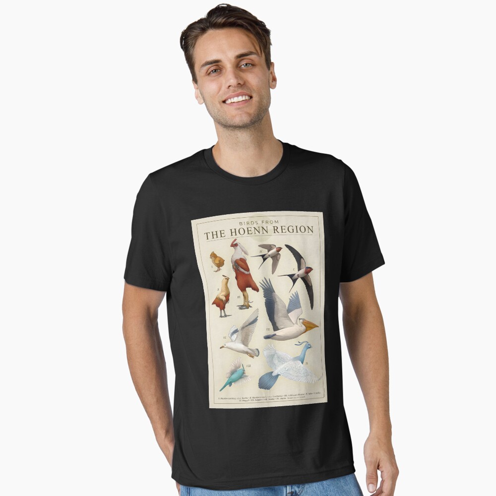 Birds of Hóenn Poster