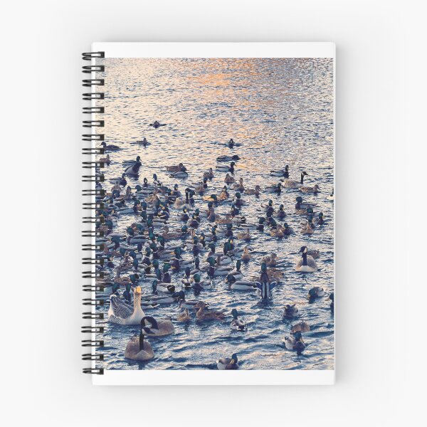 Item preview, Riverfront Park Duck Pond, Spokane, WA designed and sold by Acorns + Oak Photography.