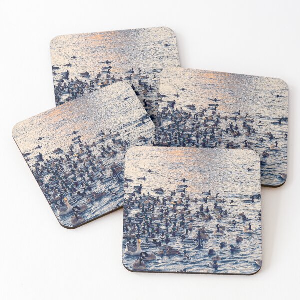 Item preview, Riverfront Park Duck Pond, Spokane, WA designed and sold by Acorns + Oak Photography.