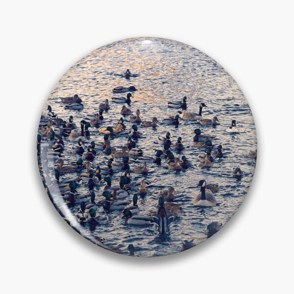 Item preview, Riverfront Park Duck Pond, Spokane, WA designed and sold by Acorns + Oak Photography.