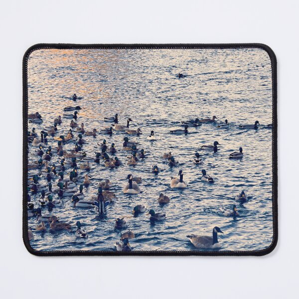 Item preview, Riverfront Park Duck Pond, Spokane, WA designed and sold by Acorns + Oak Photography.