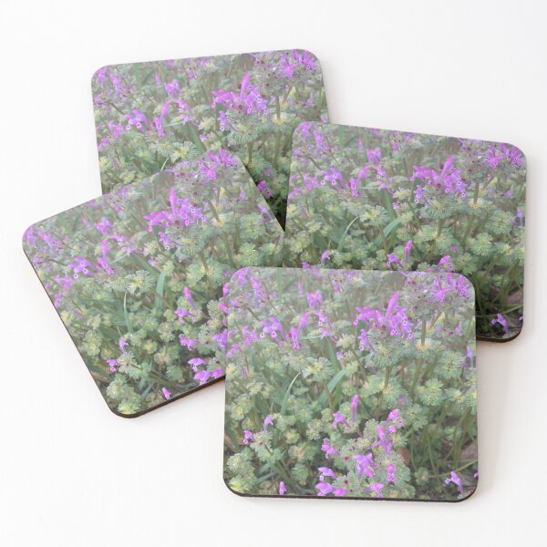 Item preview, Weird Tiny Purple Flowers (Henbit) designed and sold by Amanda1775.