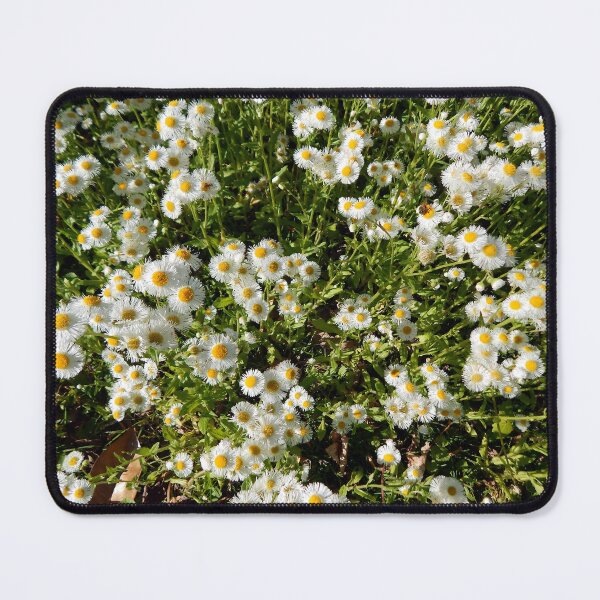Item preview, Bed of Fleabane designed and sold by gistinker.