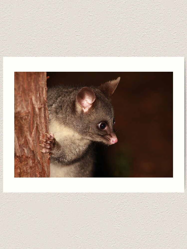 Alternate view of My what big eyes you have! Art Print