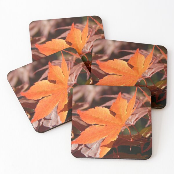Item preview, Backlit Japanese Maple Leaf designed and sold by gistinker.