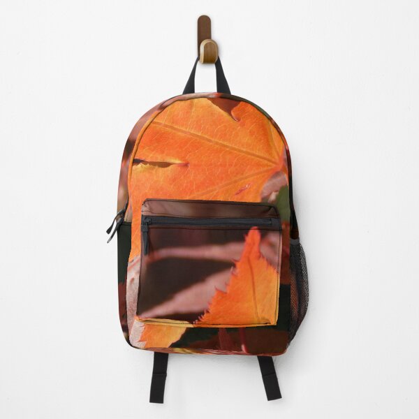 Item preview, Backlit Japanese Maple Leaf designed and sold by gistinker.