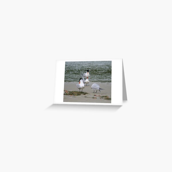 How about a kiss first Greeting Card