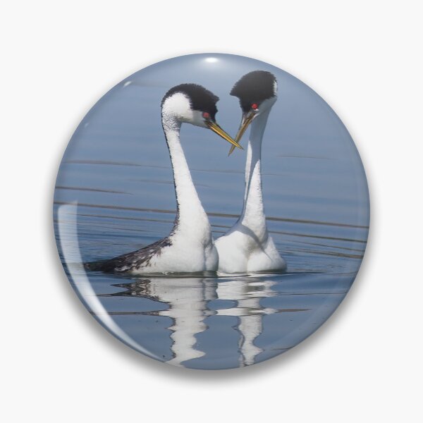 Item preview, Western Grebes Pair designed and sold by CarolM.