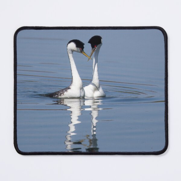 Item preview, Western Grebes Pair designed and sold by CarolM.