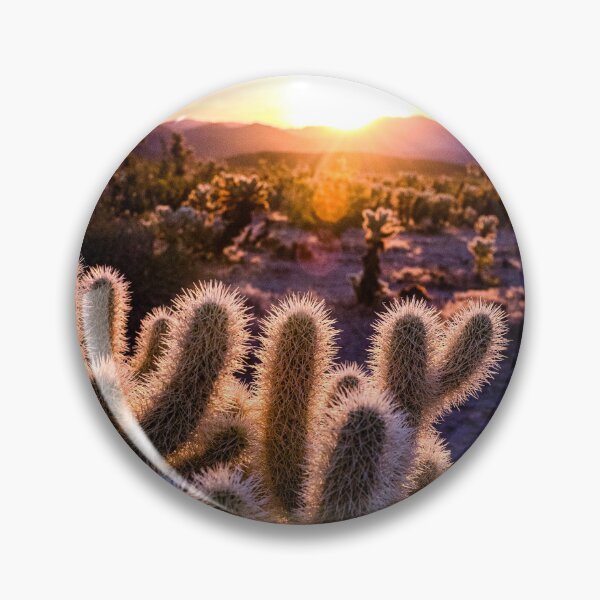 Item preview, Joshua Tree Photography | Sunrise Over Cholla Cactus Garden | Cali Boho | Cactus Photography | Bossy Cat Home designed and sold by BossyCatHome.