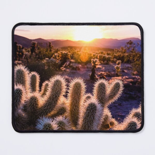 Item preview, Joshua Tree Photography | Sunrise Over Cholla Cactus Garden | Cali Boho | Cactus Photography | Bossy Cat Home designed and sold by BossyCatHome.
