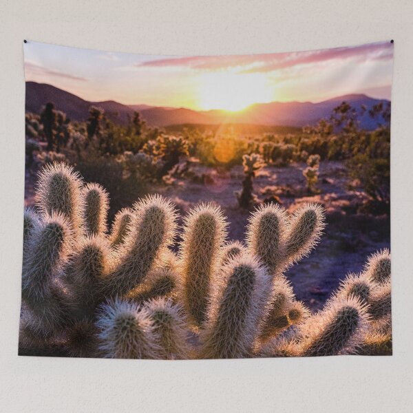 Item preview, Joshua Tree Photography | Sunrise Over Cholla Cactus Garden | Cali Boho | Cactus Photography | Bossy Cat Home designed and sold by BossyCatHome.