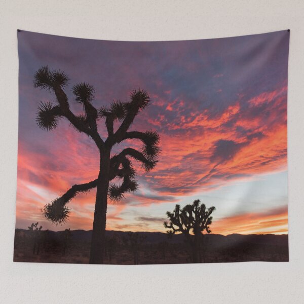 Item preview, Cactus Photography | Sunset in Lost Horse Valley | Cali Boho | Bossy Cat Home designed and sold by BossyCatHome.