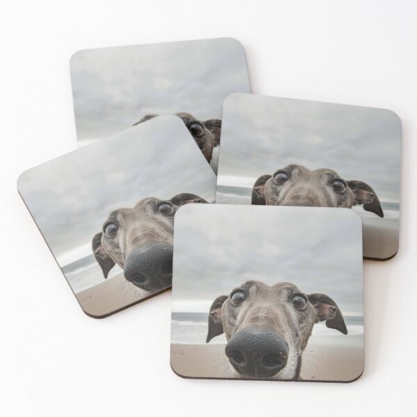 Item preview, Beach Greyhound Close Up designed and sold by Elisabeth Lucas.