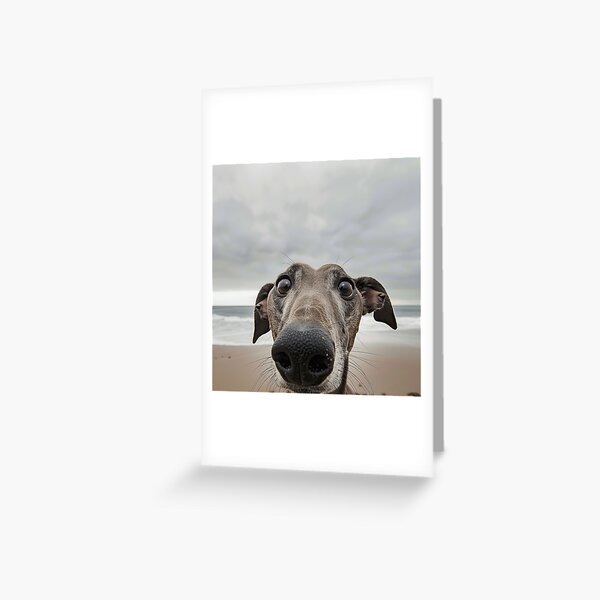 Vista previa del artículo con la obra «Galgo de playa de cerca», diseñado y vendido por Elisabeth Lucas.