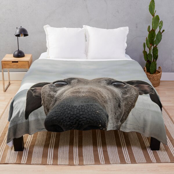 Item preview, Beach Greyhound Close Up designed and sold by Elisabeth Lucas.