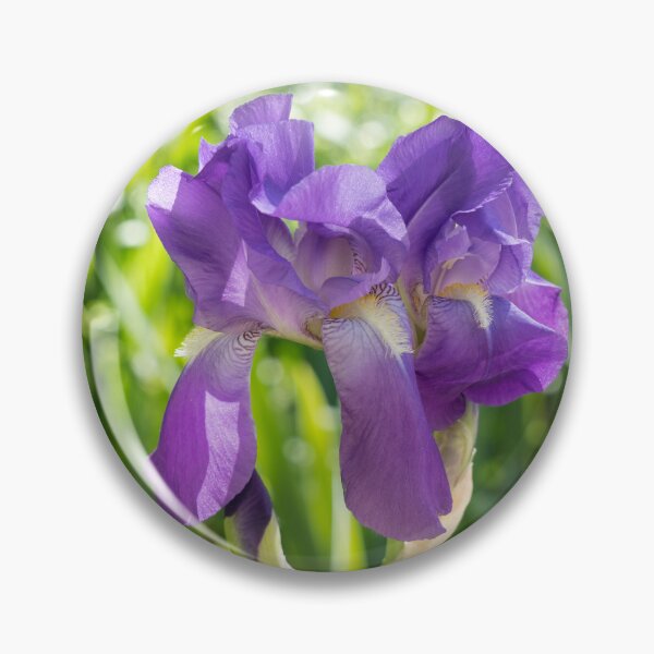 Item preview, Sunny Garden with Amethyst Purple Iris Blooms designed and sold by Georgia Mizuleva.