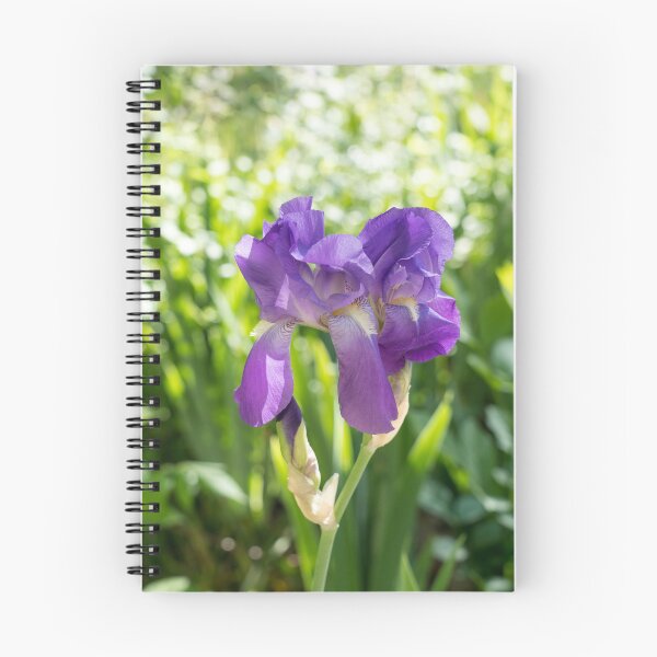 Item preview, Sunny Garden with Amethyst Purple Iris Blooms designed and sold by Georgia Mizuleva.