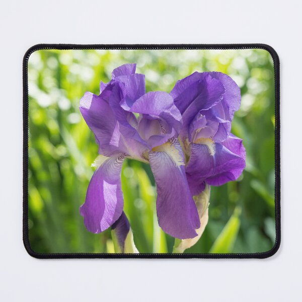 Item preview, Sunny Garden with Amethyst Purple Iris Blooms designed and sold by Georgia Mizuleva.