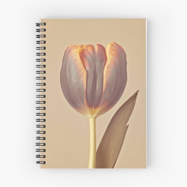 Item preview, Single Tulip designed and sold by assaf.