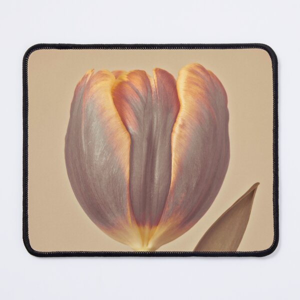 Item preview, Single Tulip designed and sold by assaf.