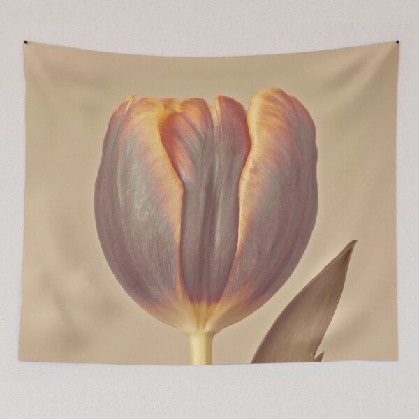 Item preview, Single Tulip designed and sold by assaf.