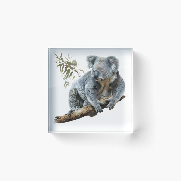 Item preview, Serene Koala Perched on Eucalyptus Branch designed and sold by NatureSyllabus.