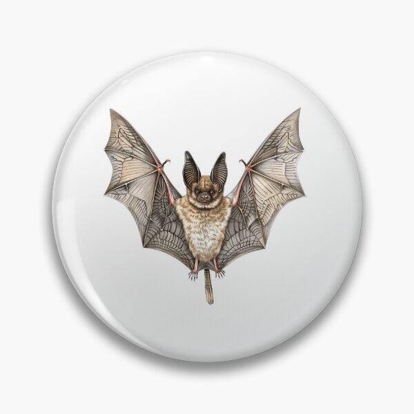 Item preview, Big-Eared Brown Bat Mid-Flight Illustration designed and sold by NatureSyllabus.