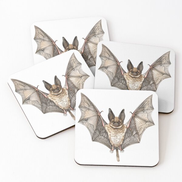 Item preview, Big-Eared Brown Bat Mid-Flight Illustration designed and sold by NatureSyllabus.