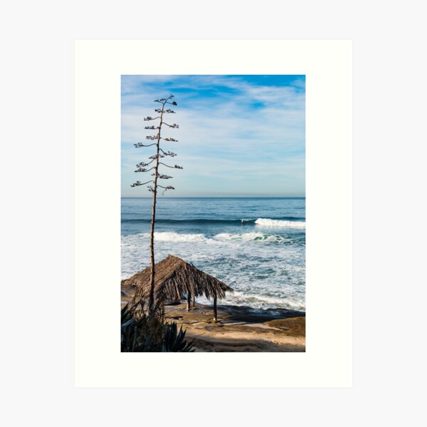 Item preview, Surfer Shack and Tree at Windansea designed and sold by Sherry Smith.