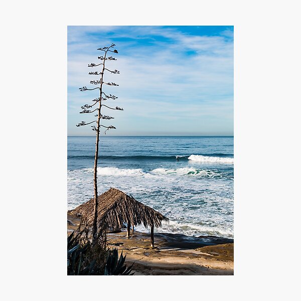Item preview, Surfer Shack and Tree at Windansea designed and sold by Sherry Smith.