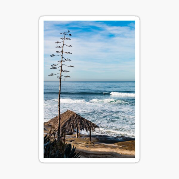 Item preview, Surfer Shack and Tree at Windansea designed and sold by Sherry Smith.