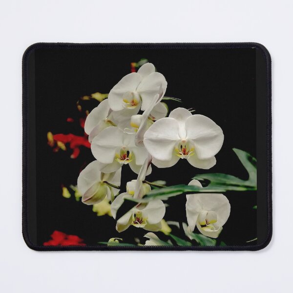 Item preview, White Orchids with green leaves on a black background designed and sold by AlexLyubar.