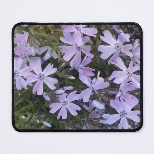 Item preview, Purple Phlox  designed and sold by Amanda1775.