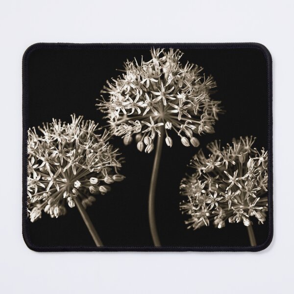 Item preview, Three Alliums designed and sold by assaf.