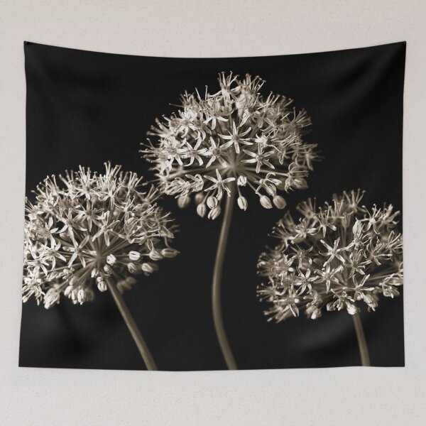 Item preview, Three Alliums designed and sold by assaf.