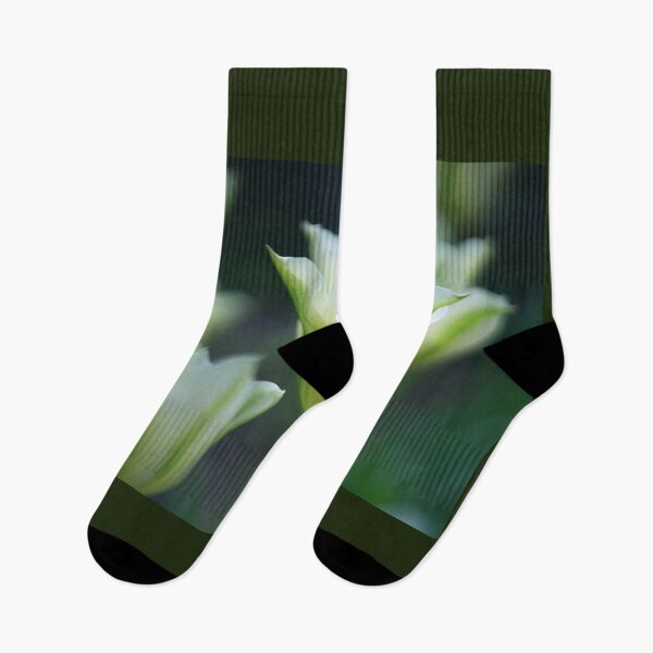 Item preview, Tulips designed and sold by Alisonchambers2.
