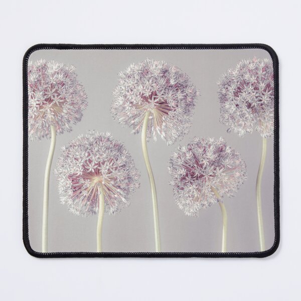 Item preview, Allium flowers designed and sold by assaf.