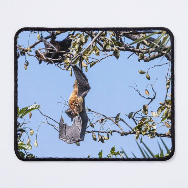 Item preview, Flying Fox Bat designed and sold by Pravine Chester.