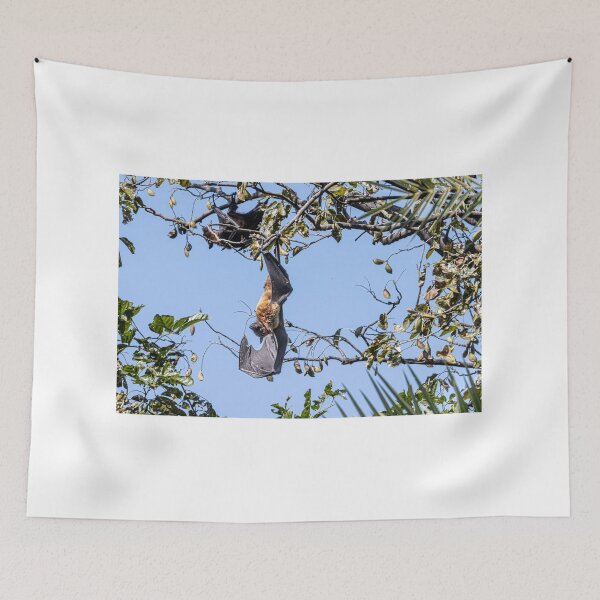 Item preview, Flying Fox Bat designed and sold by Pravine Chester.