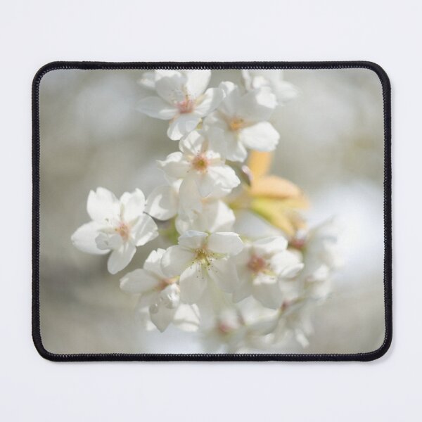 Item preview, Cherry Blossom designed and sold by Alisonchambers2.