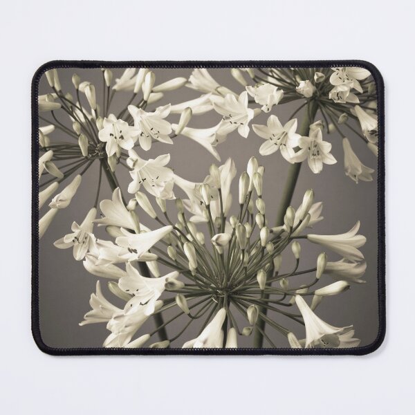 Item preview, African Lilies designed and sold by assaf.