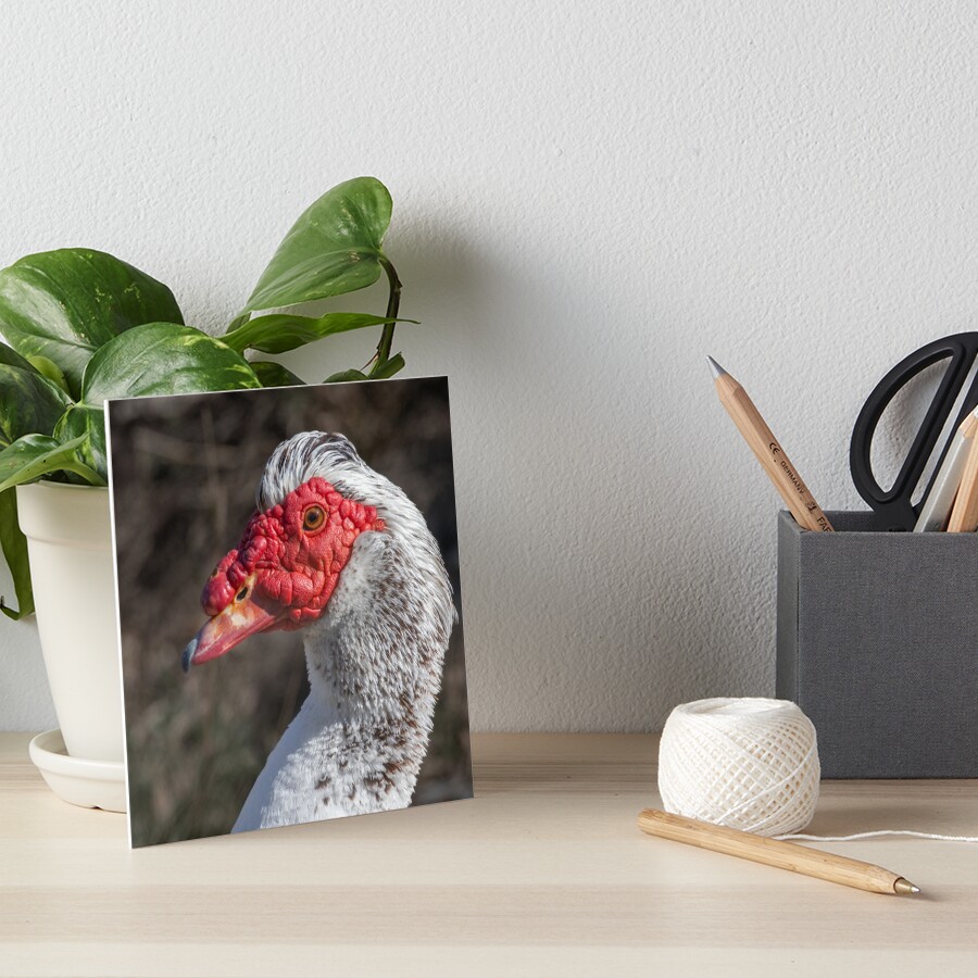 Item preview, Art Board Print designed and sold by RalphGoldsmith.