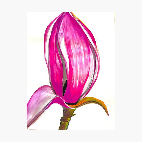 Item preview, magnolia 5 designed and sold by AntoniaGallery.