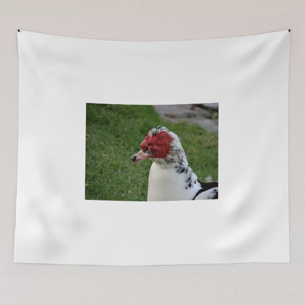Item preview, Red Faced Duck to the right designed and sold by exploramum.